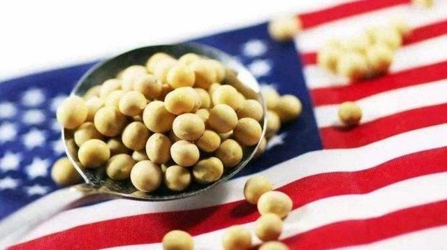 中国每年进口美国这么多的大豆,最后都做什么