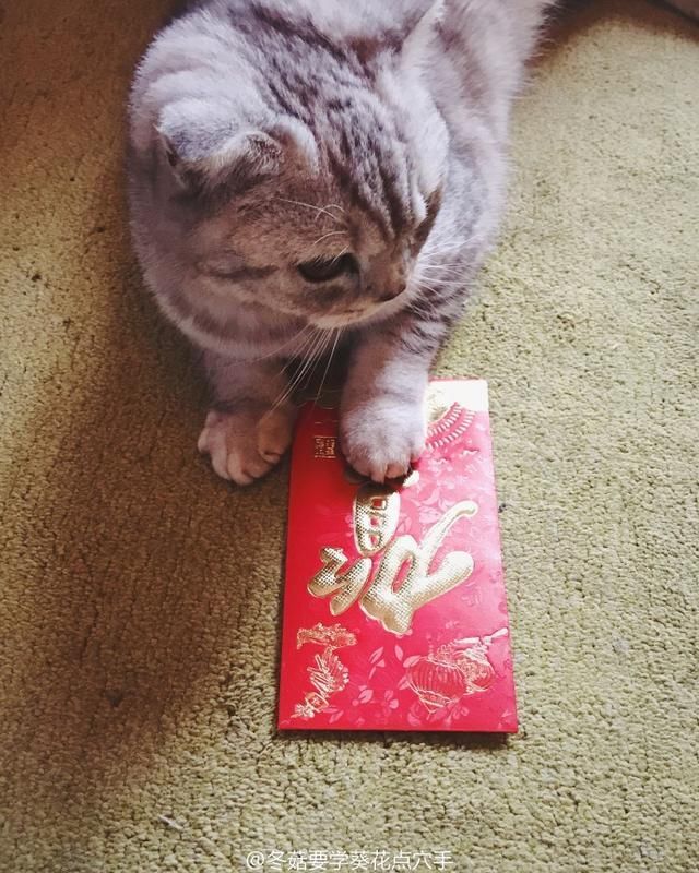 《凉生》结局番外虐哭网友!于朦胧的天恩你恨