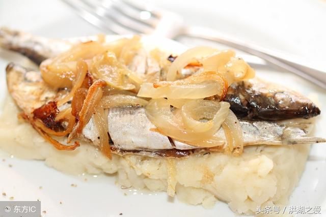 鮰鱼的生活习性是什么,如何找到它们