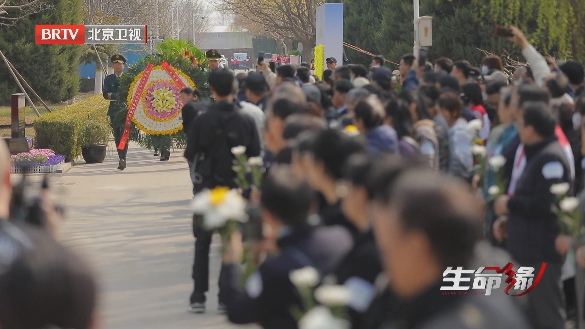 《生命缘》20240423再见 王医生