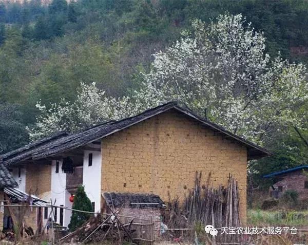 2018年农村旧房改造政策!交多少钱?满足什么