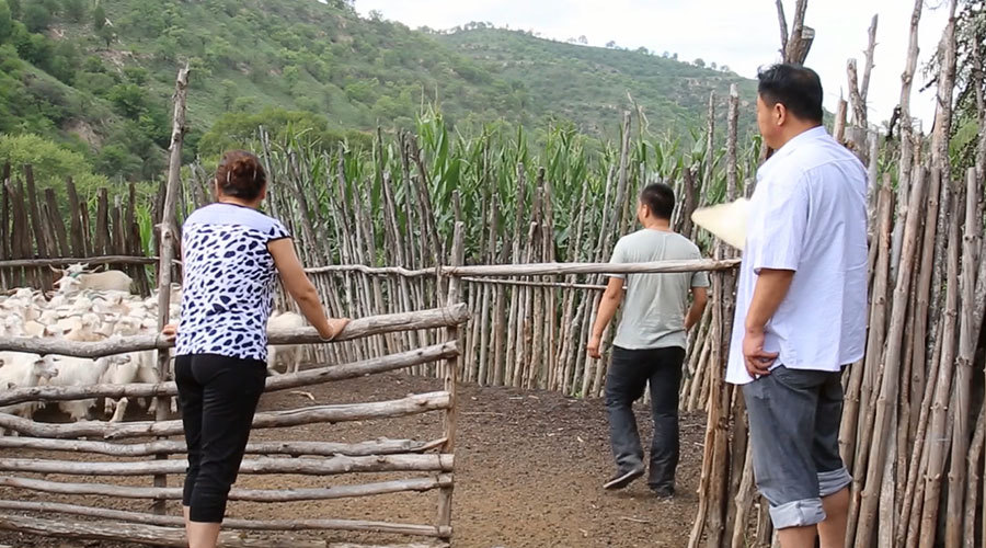 微电影《不少一只羊》——剧情类 微电影《不少一只羊》——剧情类