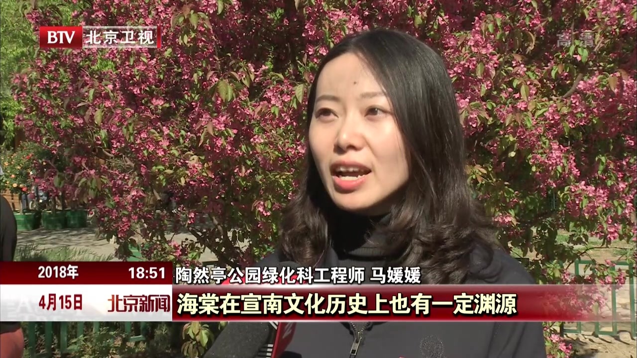 北京：海棠花开扮靓陶然亭