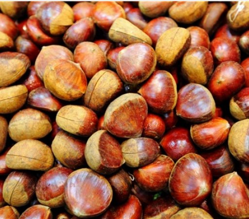 牛肉不能和什么一起吃,这些食物最不宜搭配牛