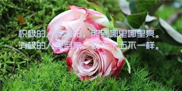 早安语录唯美句子 励志语录感悟人生