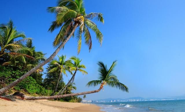 语文考试阅读理解中描写手法的分类及作用,请