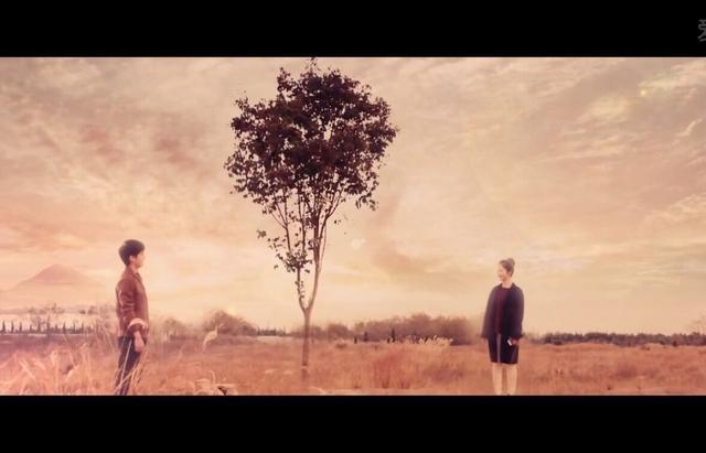 最好的我们,如何成为爆红网剧