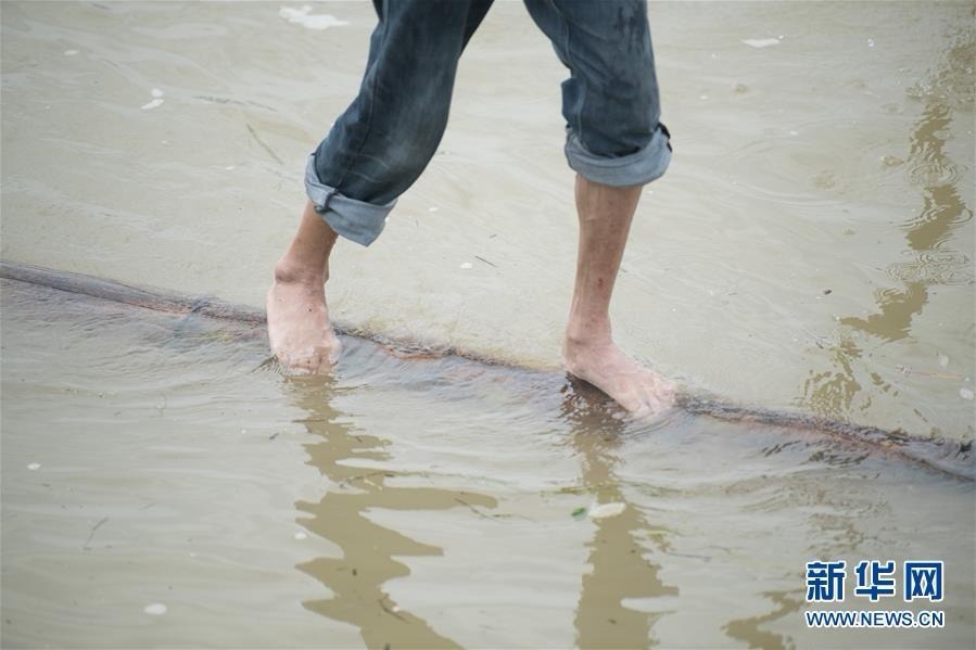 7月11日，方恕云站在一根毛竹上横渡新安江。 54岁的浙江建德农民方恕云，自少年时就开始练习站在一根毛竹上渡江的绝技，还能做俯卧撑、抬脚跳等动作，在水中“如履平地”。