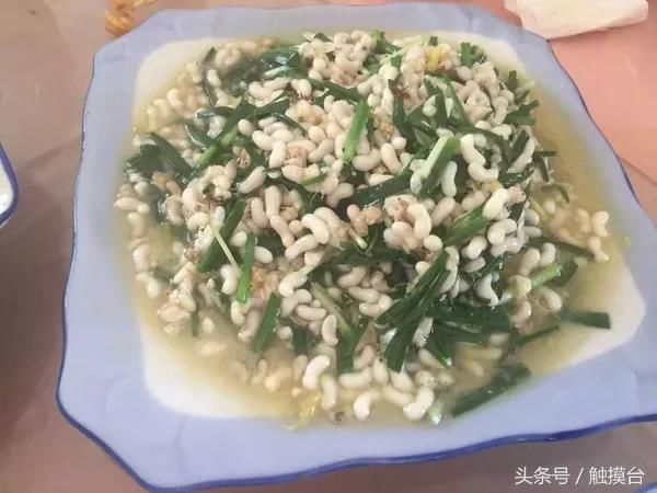 西双版纳雨季来临,来看看当地人都吃什么虫子