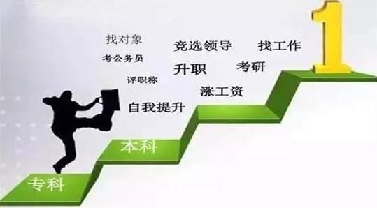 2017年成人高考今天查询录取!你查下录取了么