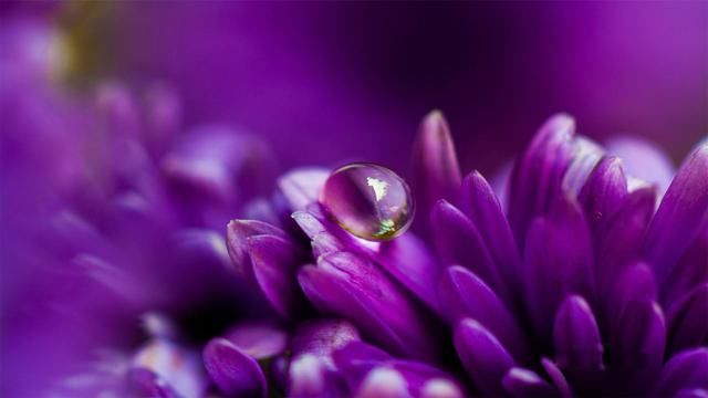 朋友圈特别暖心的话,喜欢就收藏了吧