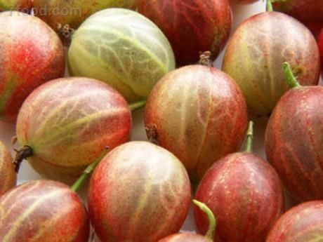 世界最奇葩罕见的水果 吃过5种以上的算你牛