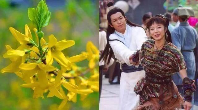 大家都在看:原来电视剧中的好听名字都是这样