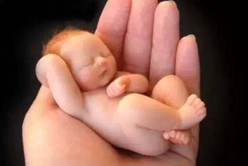 拇指姑娘是真实存在的 母亲怀孕22周产下的