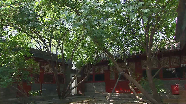 丁香与海棠 名人也是普通人 丁香与海棠 名人也是普通人