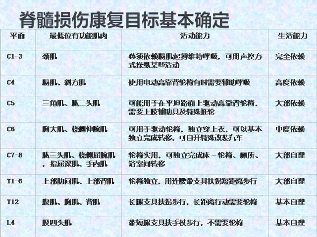 脊髓损伤减压术治疗截瘫