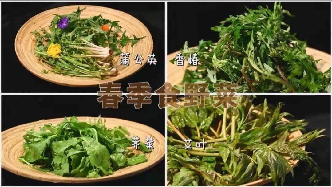 野菜自带“毒素”，千万别乱挖乱吃！转给家里做饭人看看！