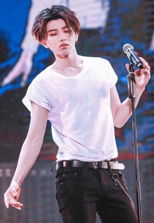 明星粉丝数量排行,蔡徐坤垫底,赵丽颖第五,她才