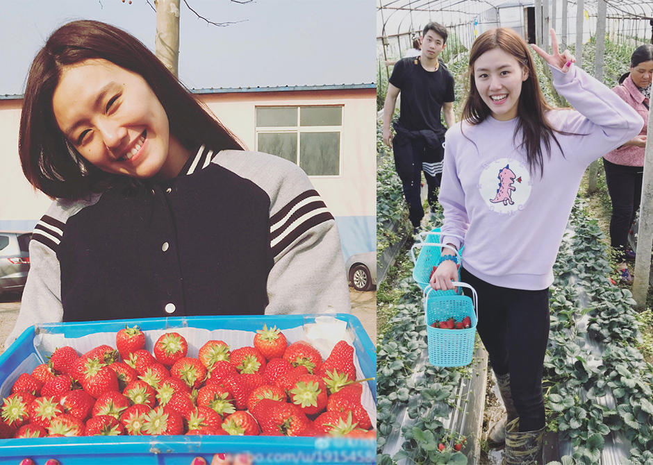 游泳女神刘湘晒美照 网友:满屏都是甜蜜蜜 游泳女神刘湘晒美照 网友:满屏都是甜蜜蜜