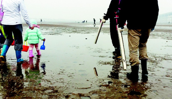 大连赶海族4小时用神器狂吸10斤蝼蛄虾