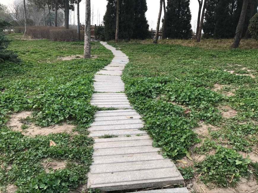 7天治好我孩子过敏性鼻炎的(食疗偏方)值得试