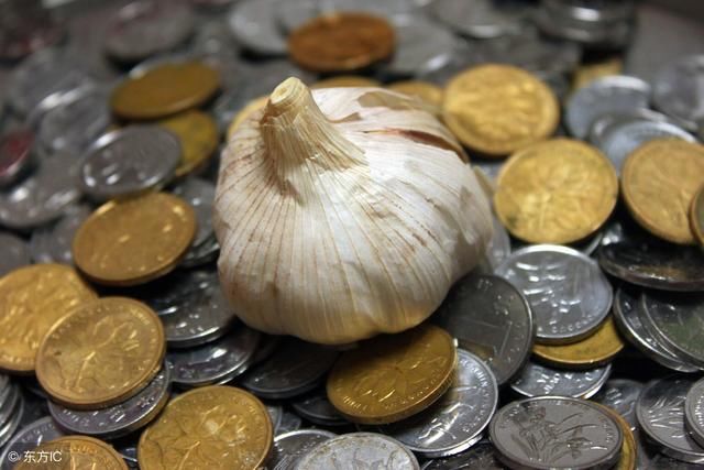 初加工、价格险、大数据,蒜价低迷,蒜农如何保