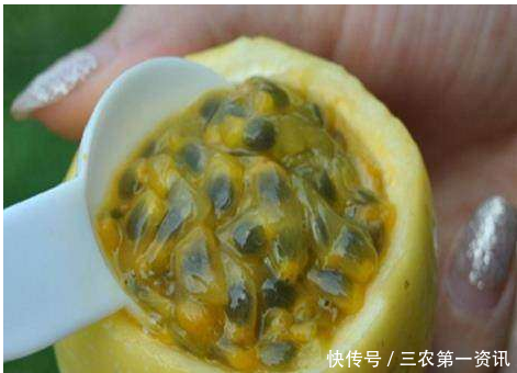 全是籽没有肉的水果,比百香果贵5倍,农民种植