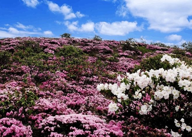 中国唯一以花名命名的城市,一年四季如春,是冬