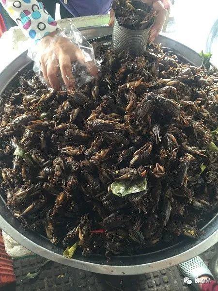 柬埔寨之行(一)--金边印象