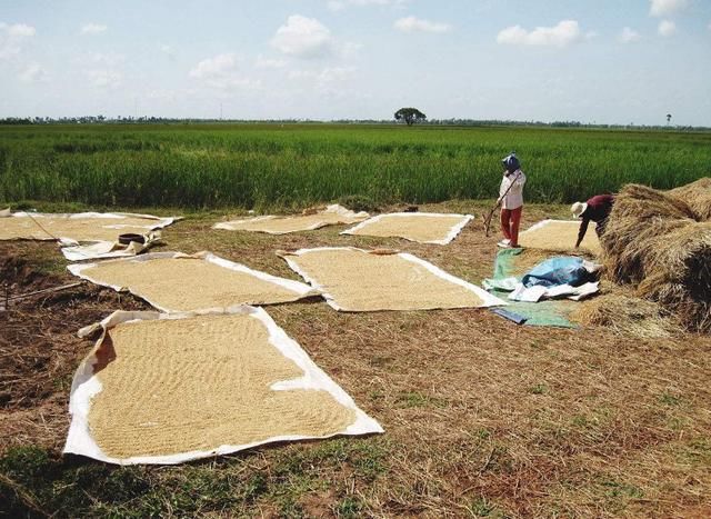2018年退地承包权补偿标准大幅提升,每垧60万
