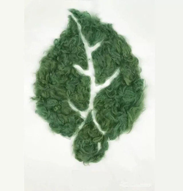 惠美纤维经历数年研发,推出了草木初色系列的植物染色纤维,天然植物