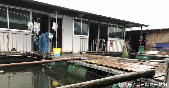 可怕的不是用泥鳅钓鱼的泥鳅党, 而是这些钓鱼