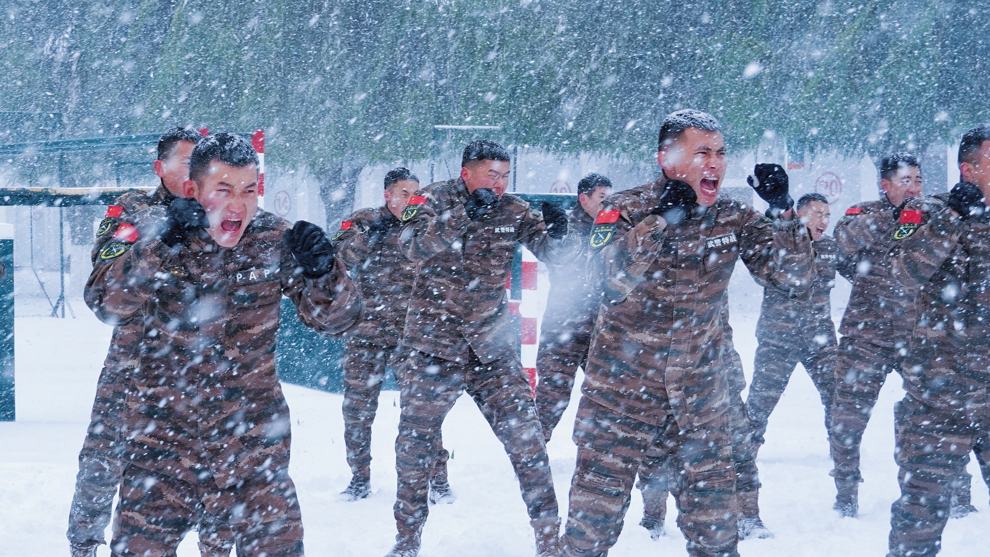 黑龙江迎来暴雪 特战队员严寒中开展雪地搏击训练
