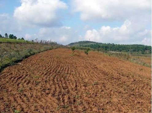 农村这四类土地今后要大升值,看看你有吗?