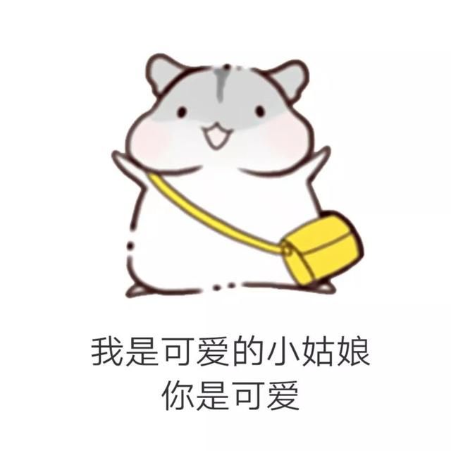 哄男朋友表情包:男朋友生气怎么办?多半是装的