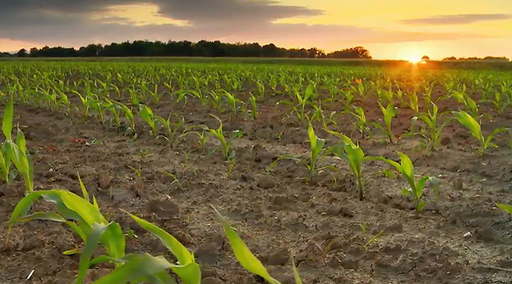 《大自然在说话》土地 《大自然在说话》土地
