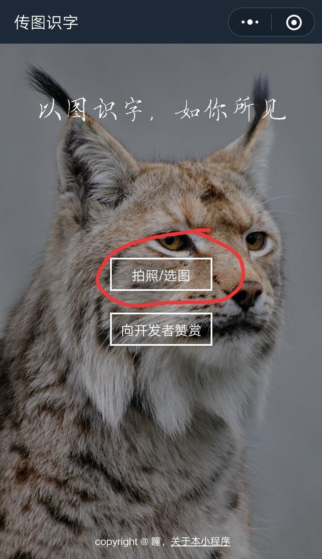利用QQ和微信扫一扫,手机秒变扫描仪,文件一键