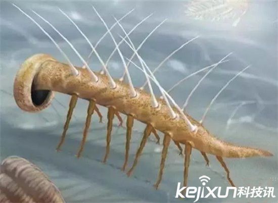 比恐龙还早的十大史前巨兽 史前蜈蚣身长3米! 比恐龙还早的十大史前巨兽 史前蜈蚣身长3米!