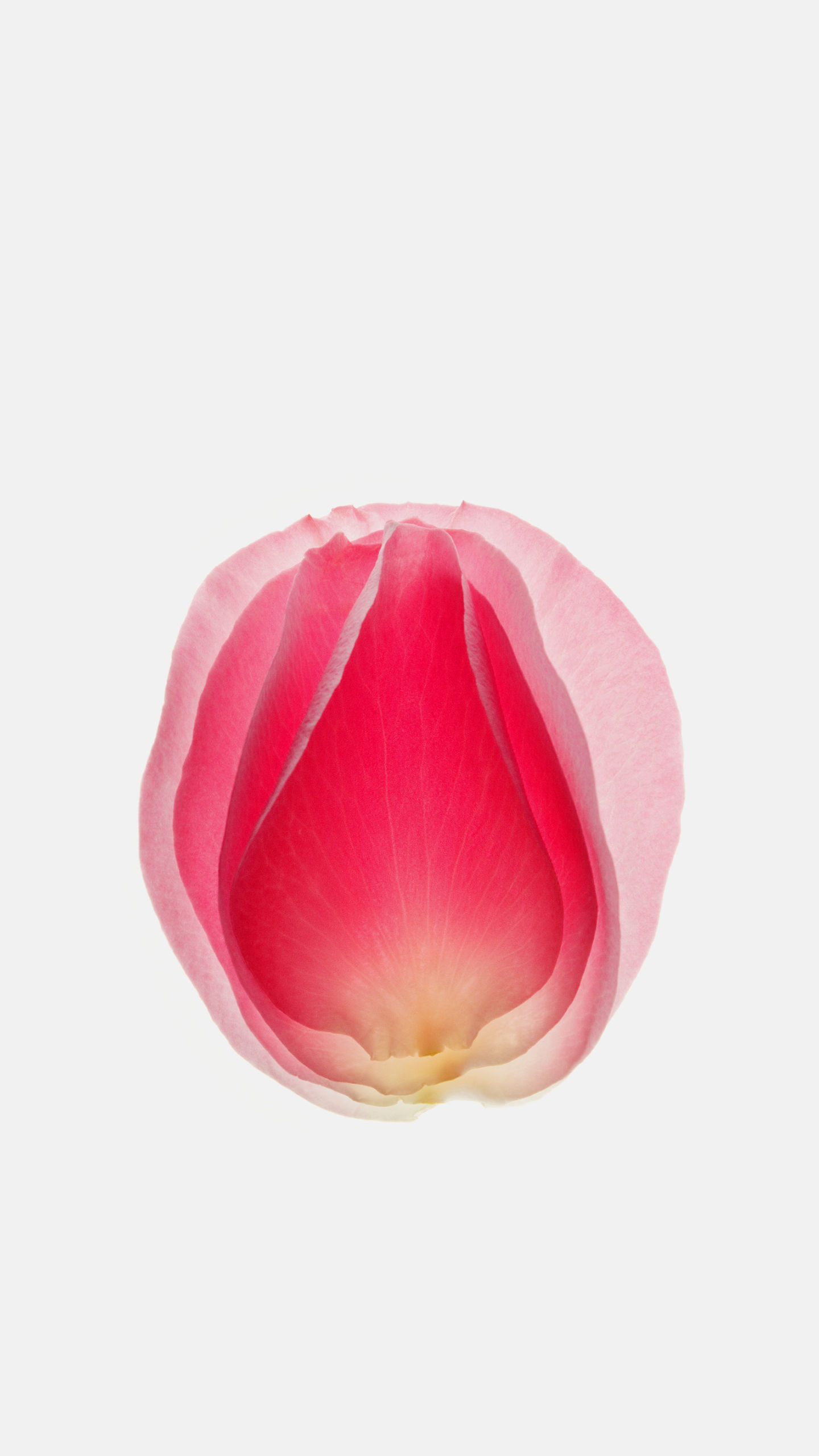 提取Vivo Xplay6,13张系统原生壁纸:适合4.7寸