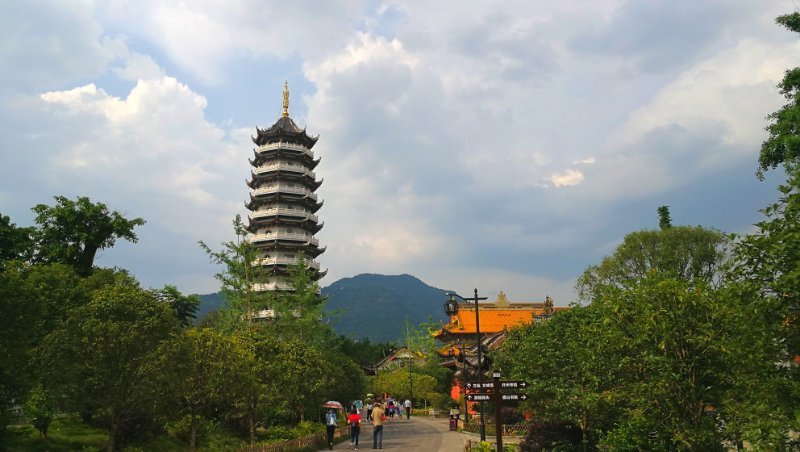 【美丽中国长江行】开州汉丰湖给库区消落带披上一件“绿衣” 【美丽中国长江行】开州汉丰湖给库区消落带披上一件“绿衣”