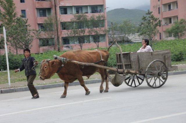 朝鲜百姓为什么很少出国旅游,朝鲜导游说出了