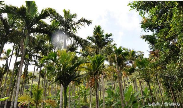 旅行之适合2月去玩的旅游城市!