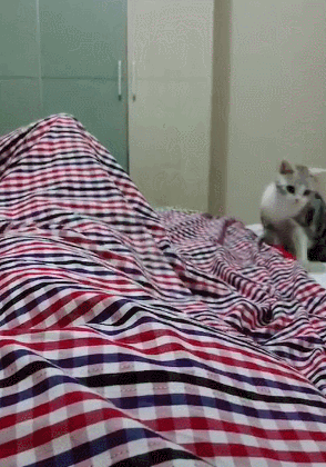 294_420竖版 竖屏gif 动态图 动图