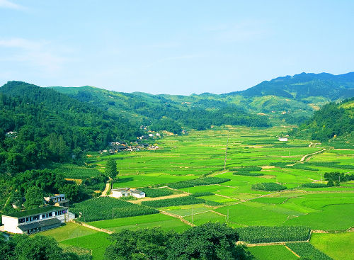 罗书平　走进太平山村，看到一份《人民调解协议书》