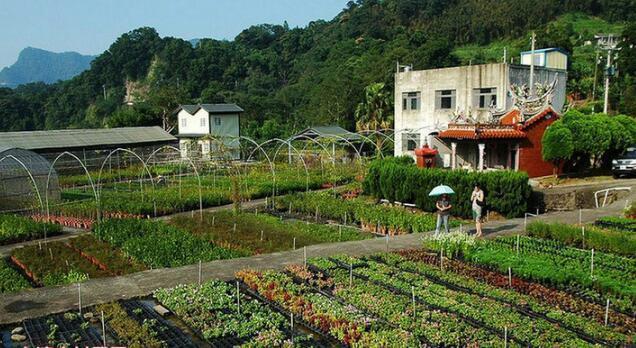 发给台湾朋友的农村房子照片,看到第一眼真不