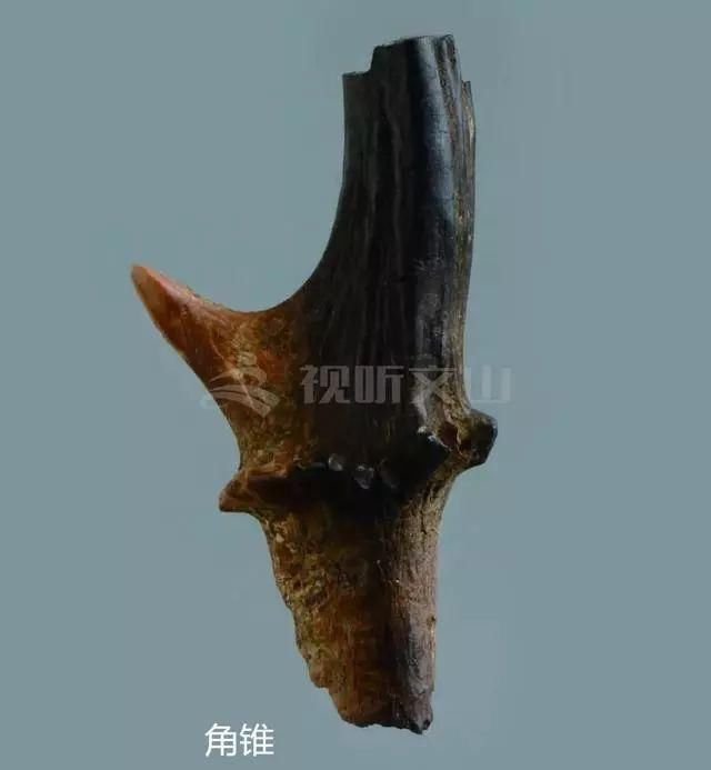 云南大阴洞遗址考古发现人类早期洞穴墓地