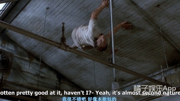 值得一提的是这部《变蝇人》本来就翻拍自1958年的黑白片《变蝇人》.