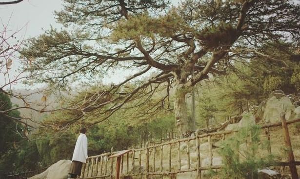 这3点告诉你,离婚又复婚后的生活,第2个令你怅