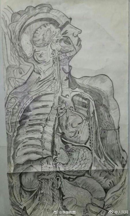 近日,甘肃中医药大学举办手绘解剖图大赛,学生作品走红网络!