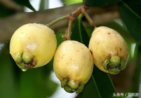 云南这些怪味美食值得你去尝试!